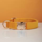 Collar Corn Yellow-S  2.0X30to40CM