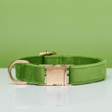 Dog Collar Dog Leash Hand Holding Rope Collar Collar