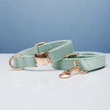 Rope Collar Light Water Green-XS 1.5X20to30CM