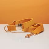 Rope Collar Corn Yellow-XS 1.5X20to30CM