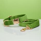Rope Collar Apple Green-M 2.0X35to50CM