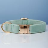 Collar Light Water Green-XS 1.5X20to30CM