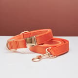 Rope Collar Coral Orange-XS 1.5X20to30CM