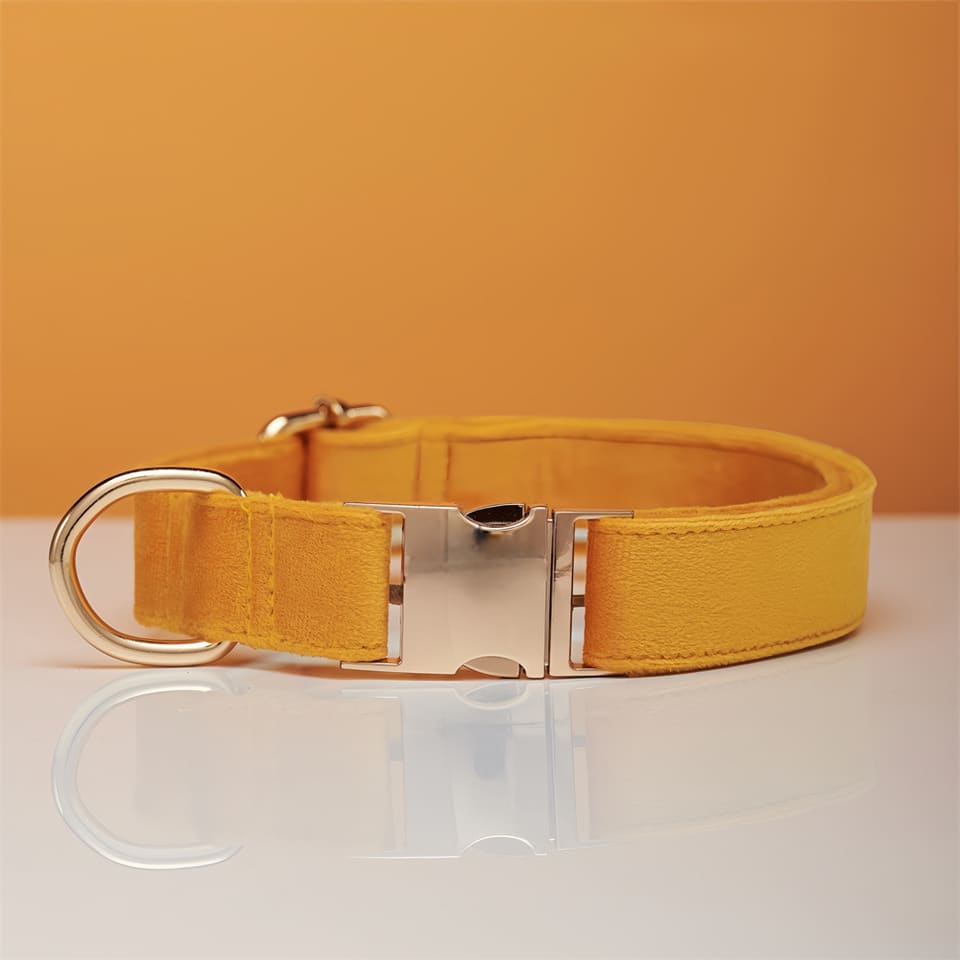 Warm Welcome Knit Dog Collar — Honey · Collar · M