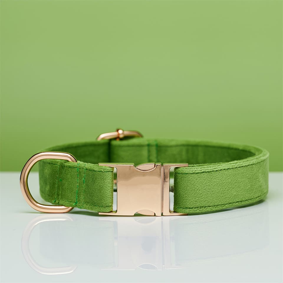 Warm Welcome Knit Dog Collar — Meadow · Collar · M