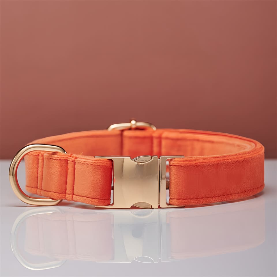 Warm Welcome Knit Dog Collar — Coral · Collar · M